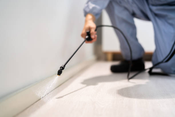 Licensed Pest Control service in Frontenac, KS - Show Me Pest Control